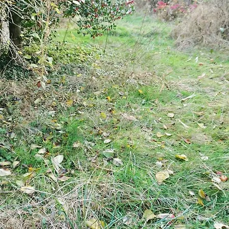 Rénové 50m2 Avec Jardin Boulogne-sur-Mer