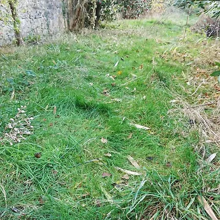 Rénové 50m2 Avec Jardin