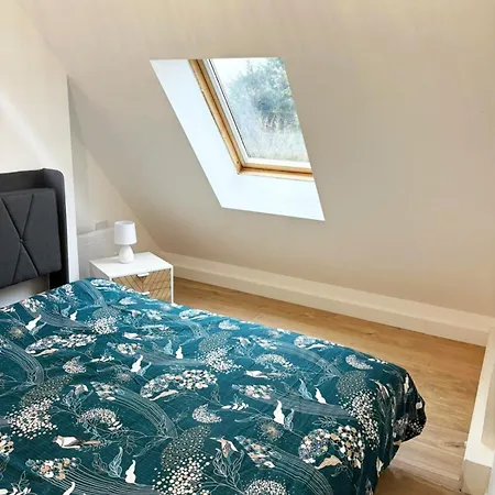 Rénové 50m2 Avec Jardin *