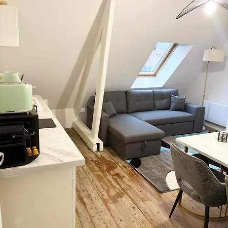 Apartment Renove 50m2 Avec Jardin Commun Et Parking Prive