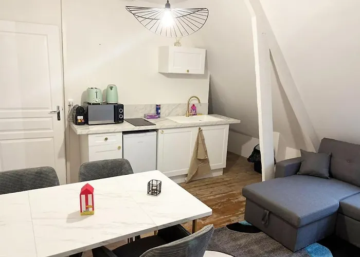 Appartamento Rénové 50m2 Avec Jardin *