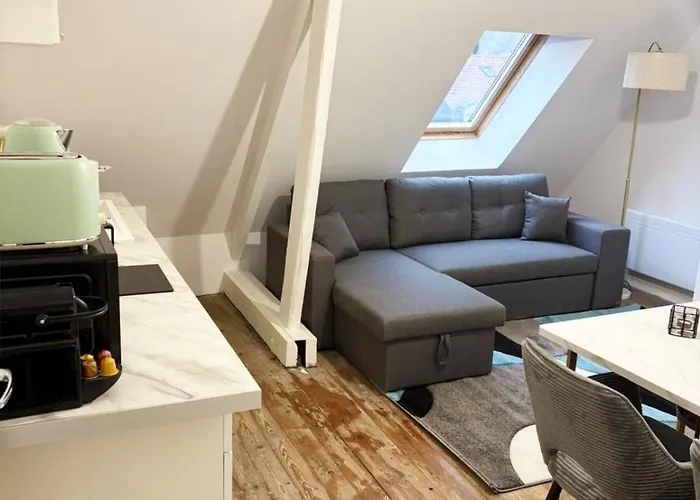Appartamento Rénové 50m2 Avec Jardin