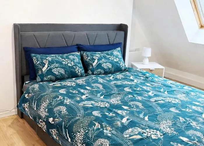 Rénové 50m2 Avec Jardin Appartamento Boulogne-sur-Mer