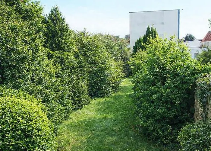 Appartamento Rénové 50m2 Avec Jardin